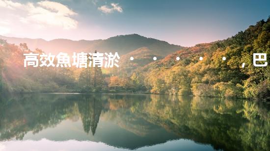 高效魚塘清淤，巴洛仕設(shè)備助力生態(tài)養(yǎng)殖